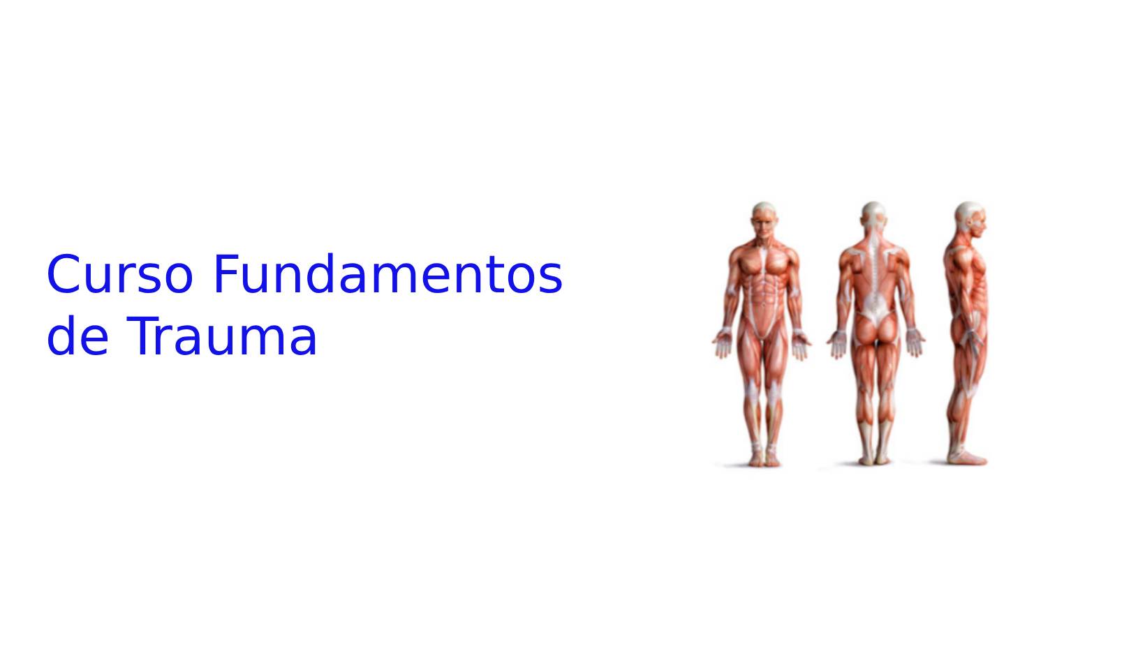 Curso de Fundamentos de Trauma-Módulo teórico