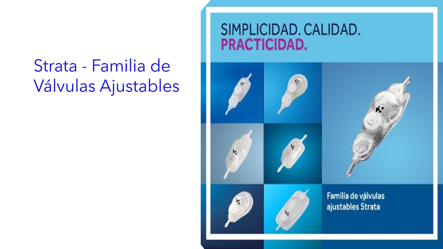 Strata - Familia de Válvulas Ajustables | Strata - Família de Válvulas Ajustáveis | Strata - Adjustable Valve Family