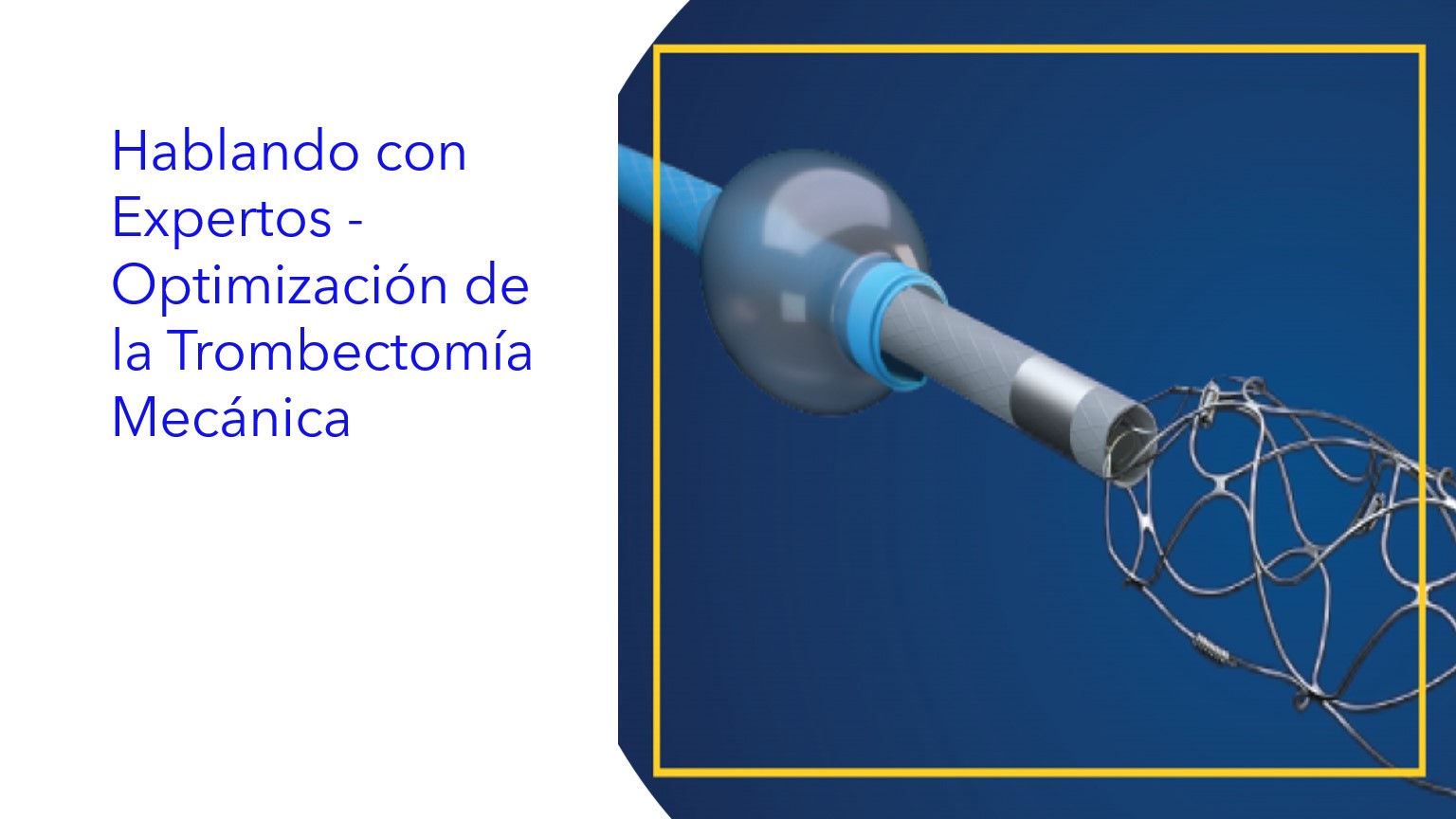 Hablando con Expertos - Optimización de la Trombectomía Mecánica|Conversando com Especialistas - Otimização da Trombectomia Mecânica|Talking to Experts - Optimization of Mechanical Thrombectomy