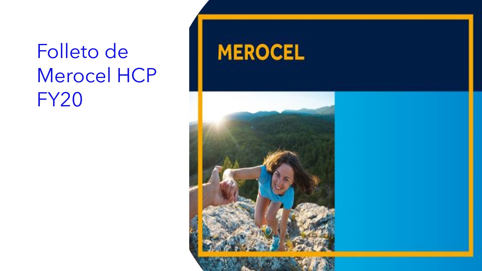 Folleto de Merocel HCP FY20|Folheto Merocel HCP AF20|Merocel Brochure HCP FY20